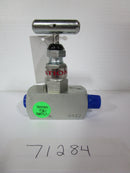 Valve Needle STR 1/4" MNPT x 1/4" FNPT N1532 -20F WGI WN1332
