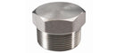 Plug-Hex Head 1" NPT SA105N